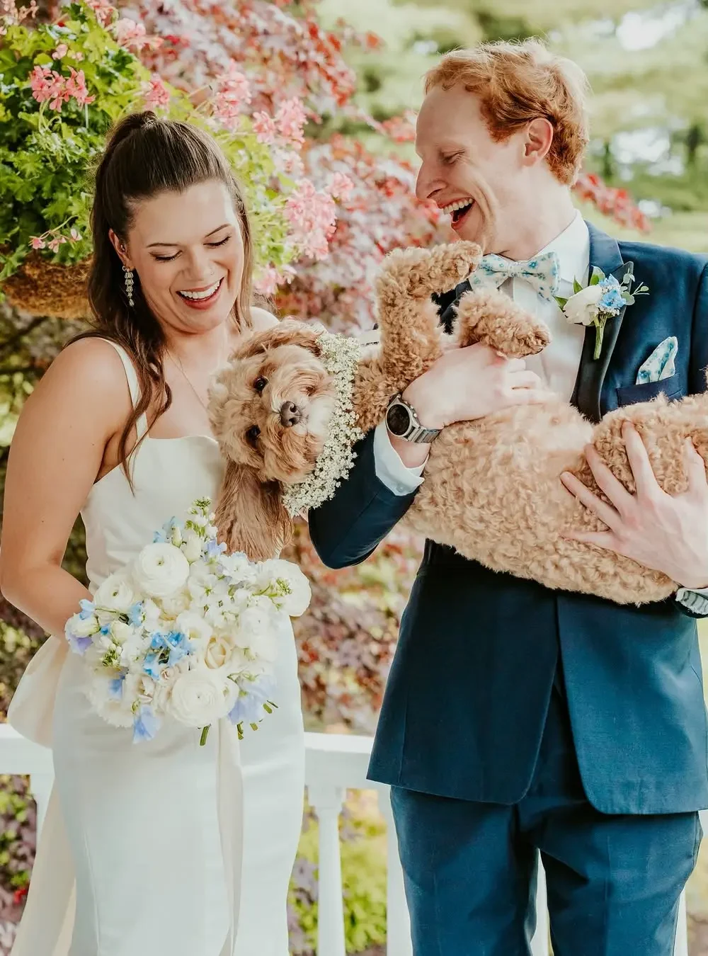 couple with dog couple with dog